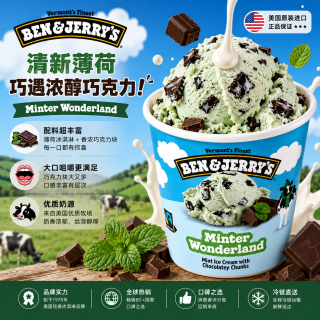 BEN & JERRY'S 本杰瑞 美国进口薄荷巧克力冰淇淋 465ml/桶
