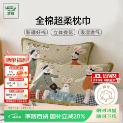 然牌 A类抗菌100%纯棉枕巾 防油防汗加大加厚枕头巾 一对装 50*80cm