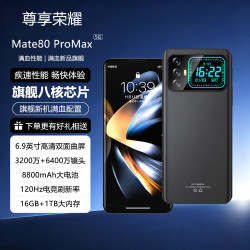 尊享荣耀 双面屏旗舰新款手机1TB大内存5G双卡8800mAh快充长续航6400W拍照 16G运行+256G内存