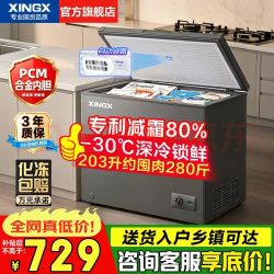 星星 无霜速冻 商用冰柜  203L