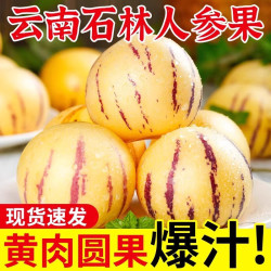 云南石林人参果  大果（80g-110g）3斤  送京东洗车