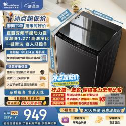 小天鹅 纯净系列 TB10V28DT 波轮洗衣机 10kg