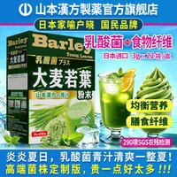 大麦若叶青汁粉 22杯 抹茶味