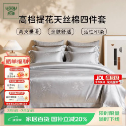 然牌 四件套天丝棉冰感凉感夏凉莱赛尔被套枕套床单双人床1.8米床英伦灰