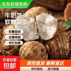 京喜 新鲜牛奶芋头现挖毛芋头香嫩爽滑奶油芋头小香芋 奶白芋头 2斤 带箱 中大果