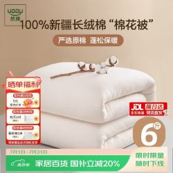 然牌 新疆棉被100% 纯棉被子被褥棉被芯 秋冬被 6斤1.8x2.2米