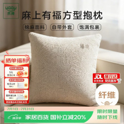 然牌 棉麻抱枕枕头 A类护腰枕芯沙发公办室客厅靠垫单只 50X50cm