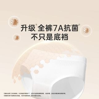 安可新 一次性内裤 7A抗菌 牛奶丝 XXL码 5条装