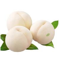 静益乐源 白桃 丹江奶油白桃 5斤果王单果150-200g