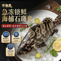 添渔港 老虎斑珍珠斑 500-600g 1条装 冷冻石斑鱼