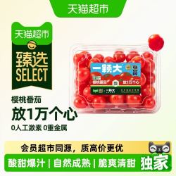 一颗大 樱桃番茄精品粒装 428g*4盒