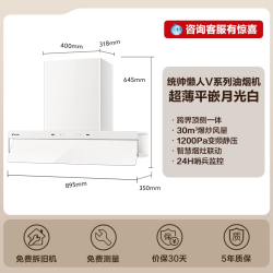 Leader 海尔出品统帅V1G顶侧一体燃气灶一套大吸力家用厨房变频烟灶套装