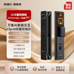 凯迪仕 P70ProMax 双摄AI人脸识别 智能门锁