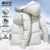 雪中飞 真5折 男士短款羽绒服