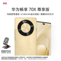 华为 畅享 70X 尊享版  6100mAh华为巨鲸长续航 麒麟8000芯片 流沙金 256GB