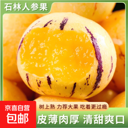 云南石林人参果（单果70-90g）净重3斤装（赠京东洗车）