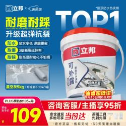 立邦 屋顶补漏防水材料楼顶房顶外墙防水耐高温防晒耐磨 5kg