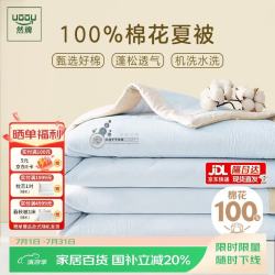 然牌 新疆棉花被 空调被夏凉被棉被夏凉被海茵兰夏被2.5斤200x230cm