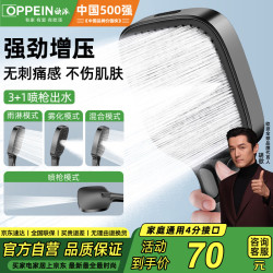 WZGL 9417 强劲增压 皓月灰 手持花洒