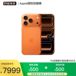 Apple iPhone 17 Pro 手机 双卡双待