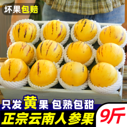 黄六爷 人参果 净重4.5斤