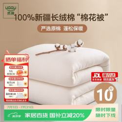 然牌 100%新疆棉花被 纯棉棉被棉絮被子冬季 冬被10斤180x220cm
