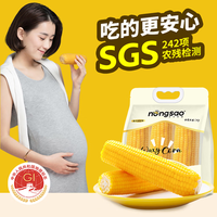 东北农嫂 黄糯玉米棒1.32kg 约6根