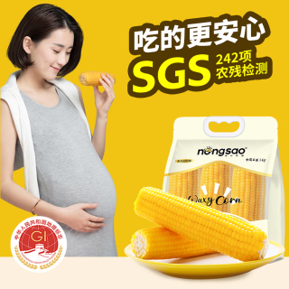 东北农嫂 黄糯玉米棒1.32kg 约6根