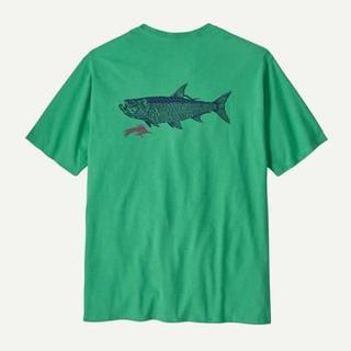 Patagonia 巴塔哥尼亚 Men's Take A Stand Responsibili-tee 运动T恤