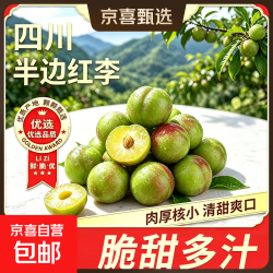 正宗四川半边红脆李 脆红李子樱桃李茵红脱骨李多汁新鲜当季水果 带箱2斤