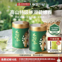 川红 林湖特级碧螺春 浓香型 明前绿茶 250g