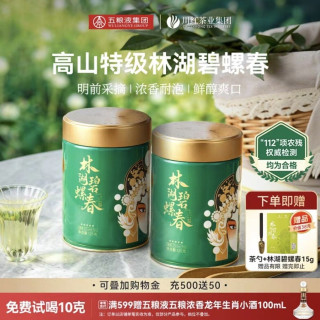 浓香耐泡、淘金币低至41元：川红 林湖特级碧螺春 浓香型 明前绿茶 250g