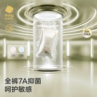 babycare 金山茶男士一次性内裤