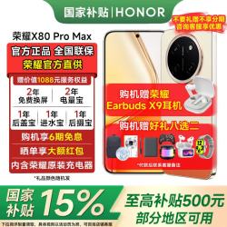 荣耀 X80 Pro Max 11000mAh大电池 金标抗摔免费换屏 5G长续航手机 AI