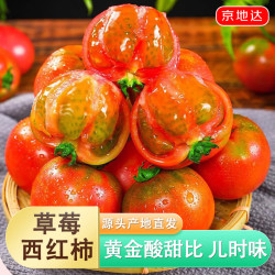 秋小鲜 山东铁皮草莓西红柿 4.5斤 50g起