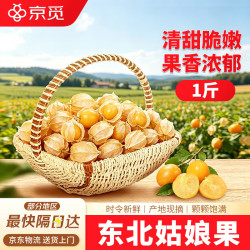 京觅 东北姑娘果净重1斤灯笼果黄菇娘洋姑娘果水果特产 源头直发包邮