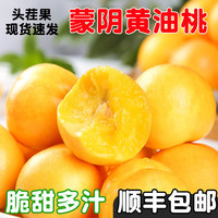 鲁道鲜 山东蒙阴黄金油桃蜜桃脆甜黄桃应季新鲜水果生鲜 5斤臻选果净重4.5斤