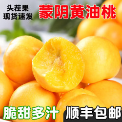 鲁道鲜 山东蒙阴黄金油桃蜜桃脆甜黄桃应季新鲜水果生鲜 5斤臻选果净重4.5斤