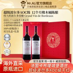 MR.ALI 法国原瓶进口 超级波尔多 AOC 干红葡萄酒 750ml*2瓶 礼盒装