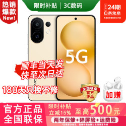 vivo X300pro 新品5G手机上市 大内存16GB+512GB 次日达24免息可选 5000万索尼潜望长焦