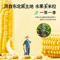 薄荷健康 薄荷生活甜玉米粒开袋即食东北粗粮轻食免煮低脂速食代餐食品