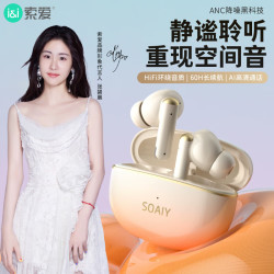 索爱 soaiy）SL35PRO 无线蓝牙耳机降噪双耳入耳式运动跑步游戏通用于华为苹果viv