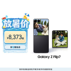 三星 Galaxy Z Flip7 256GB升杯512GB 4.1英寸超大外屏 AI折叠屏手机 5000万像素 秘影黑