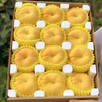 特大果 山东蒙阴 黄毛蟠桃  金蟠桃 2.25斤装 4-7个