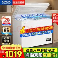 星星 冰柜 冷冻柜一级能效 300升 升级钢板内胆300DE