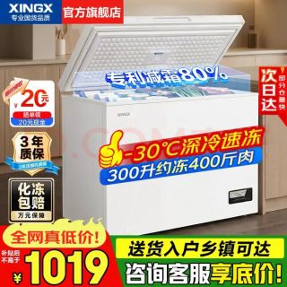星星 冰柜 冷冻柜一级能效 300升 升级钢板内胆300DE