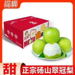 福椰 正宗砀山翠冠梨青皮薄皮梨子当季水果彩箱净重4.5斤