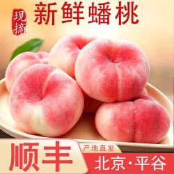 京东顺丰 北京平谷蟠桃 5斤