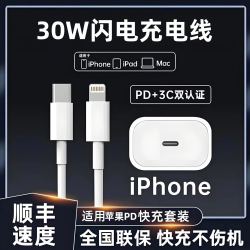 雷珞克 适配苹果PD30W充电线套装手机平板通用适配iPhone14ProMax 13