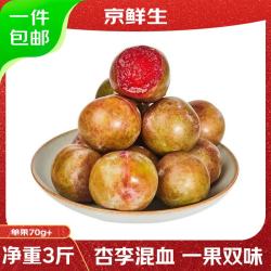京鲜生 新疆恐龙蛋李子 净重2斤装 单果50g+  新鲜水果 源头直发 新疆恐龙蛋李净重2斤装